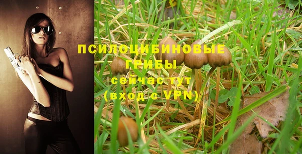 PSILOCYBIN Каменка