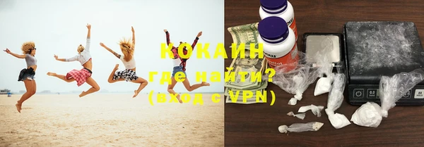 PSILOCYBIN Каменка