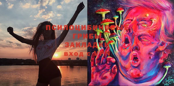 бутират Каменск-Шахтинский