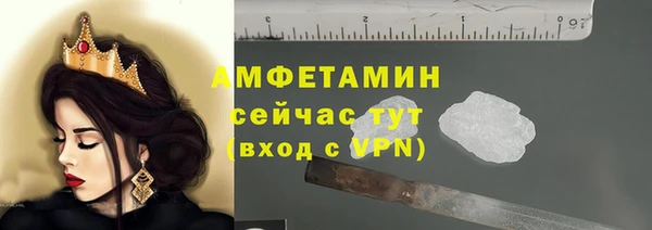 PSILOCYBIN Каменка