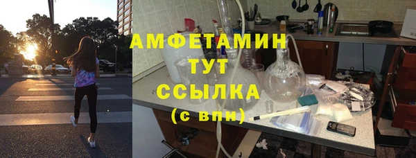 PSILOCYBIN Каменка
