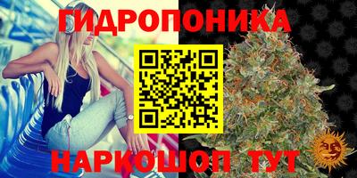 стаф Кулебаки
