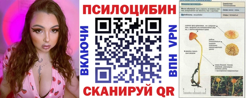 Псилоцибиновые грибы мухоморы  KRAKEN ONION  Кингисепп  где можно купить  