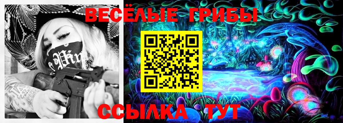 Галлюциногенные грибы Cubensis  Галлюциногенные грибы Psilocybine cubensis  Кингисепп  Вход с VPN 