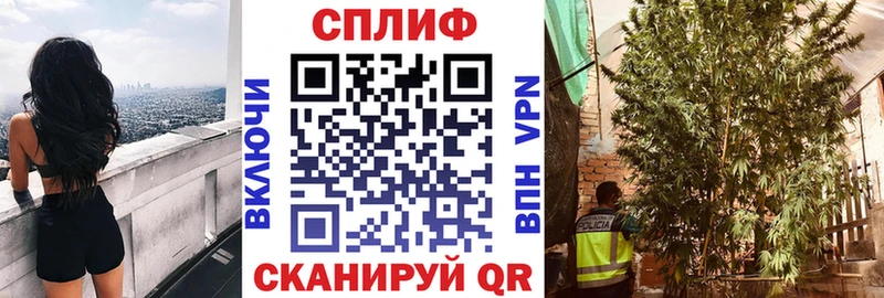 Шишки марихуана SATIVA & INDICA Кингисепп